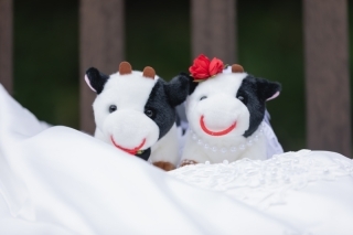 STUDIO AQUA 立川店（スタジオAQUA）_アドバイス写真