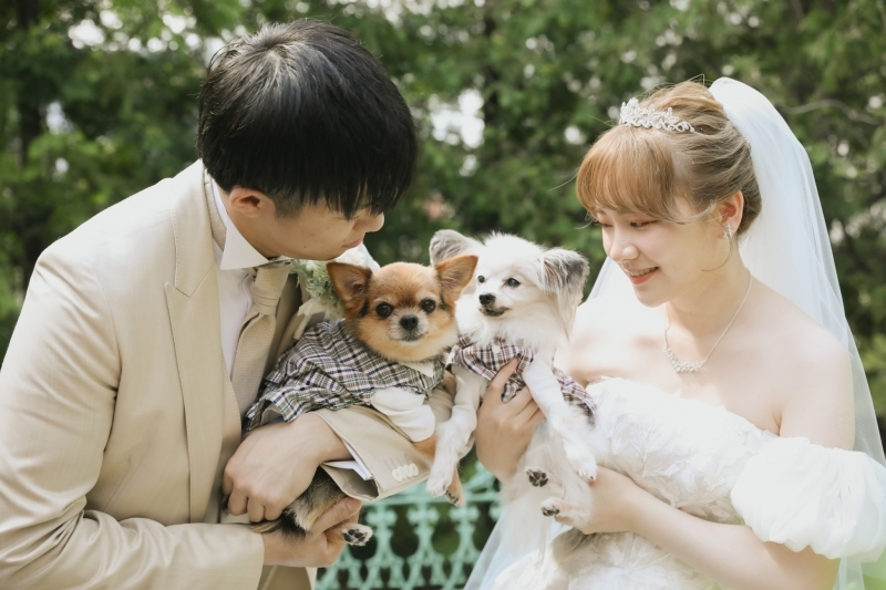 Photo Studio Lily_投稿写真