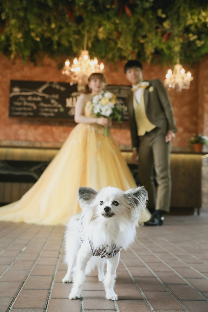 Photo Studio Lily_投稿写真