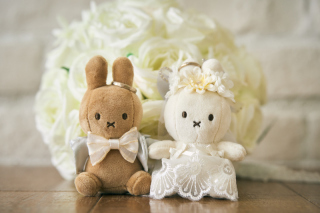 写真だけの結婚式　ecoo（エクー）_アドバイス写真