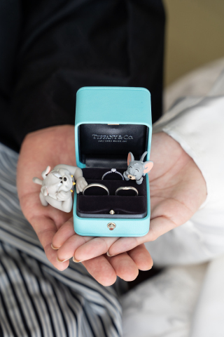 サンライズ・デジタル_アドバイス写真