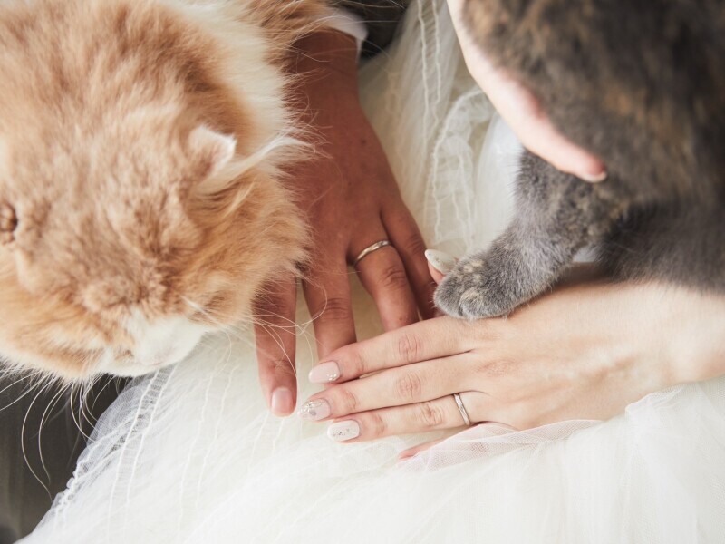 かわいいスタジオでペット撮影もおすすめです_44181_投稿写真_3