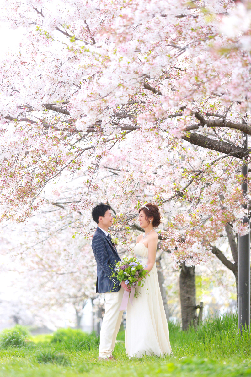 ロケーション撮影が素敵で写真の仕上がりがとても綺麗です。_42119_投稿写真_1