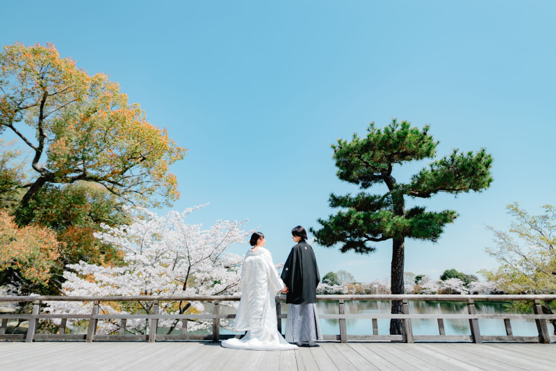 ほっこり系_42229_投稿写真_3