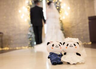 プリエージュokayama by STUDIO View_アドバイス写真