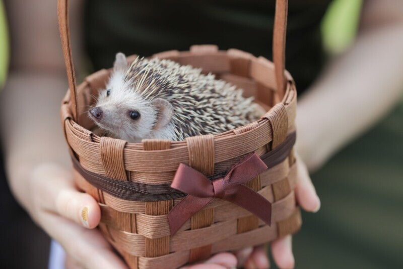 The 迎賓館 偕楽園 別邸_投稿写真