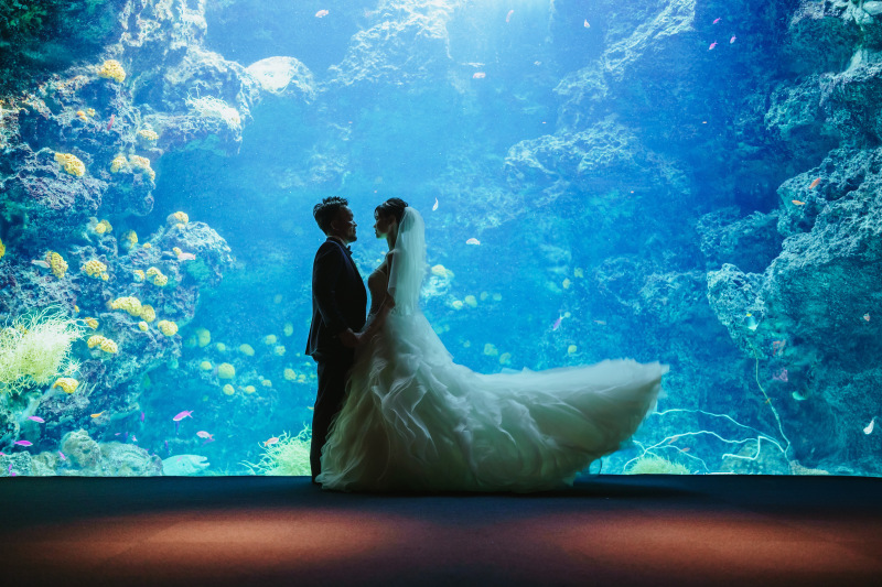 ウエディングドレス クロエ_投稿写真