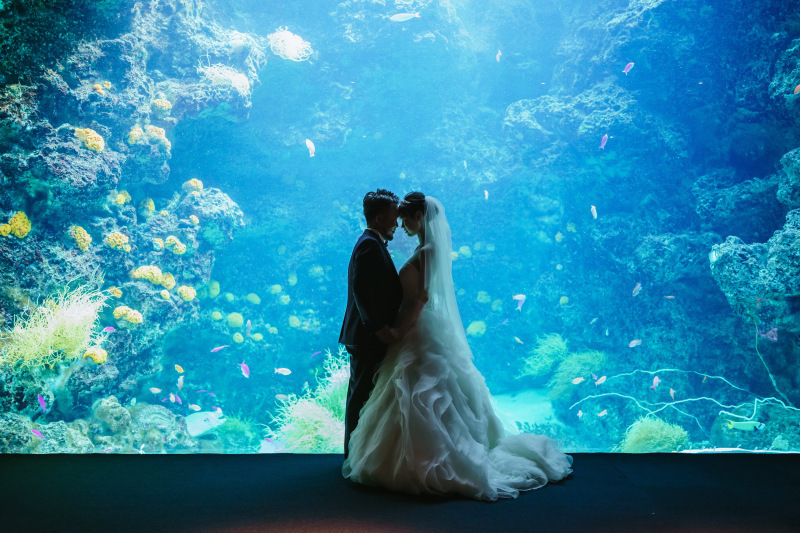 ウエディングドレス クロエ_投稿写真