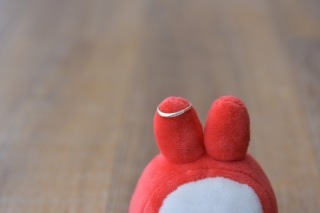 写真だけの結婚式　ecoo（エクー）_アドバイス写真