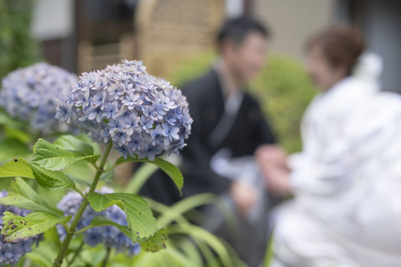 EMILE wedding エミールウェディング_投稿写真