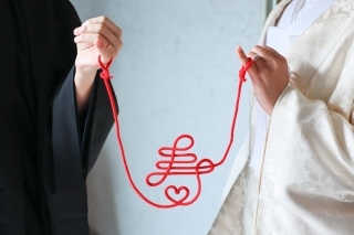 こぶたしゃしんかん_アドバイス写真