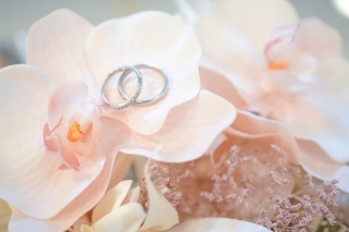 フォトスタジオ　ブライズメイド_アドバイス写真