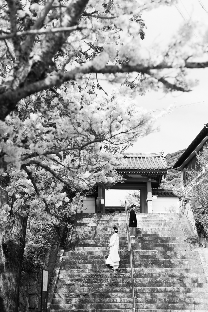 神戸で撮影するならここ_42766_投稿写真_2