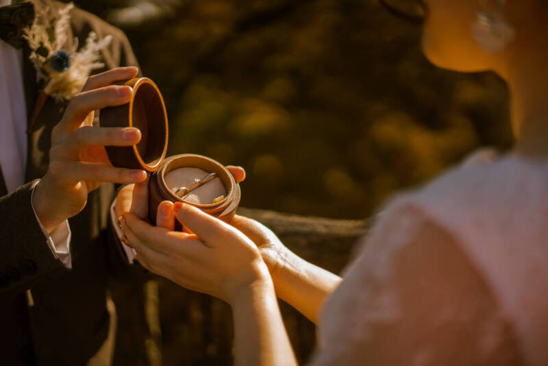 自然いっぱいのロケーションフォトが得意！_43029_投稿写真_3