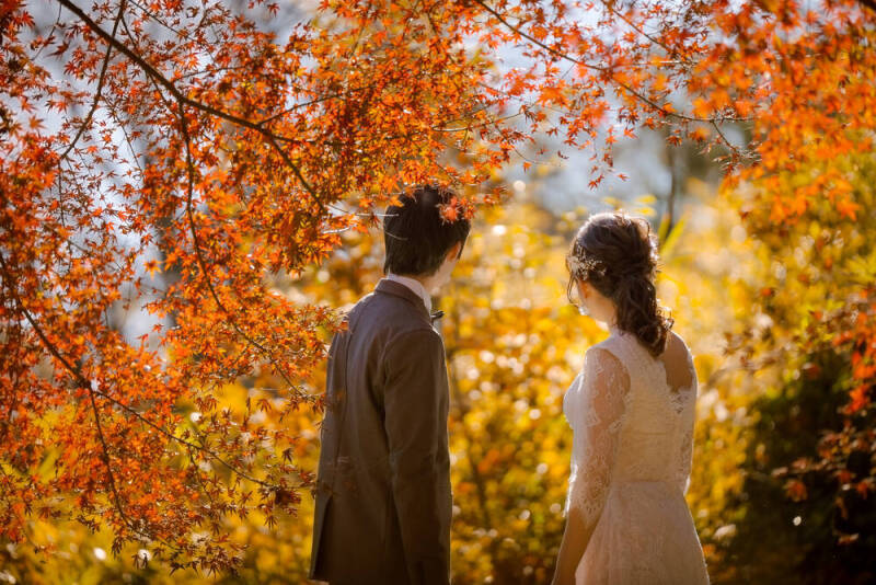 自然いっぱいのロケーションフォトが得意！_43029_投稿写真_2