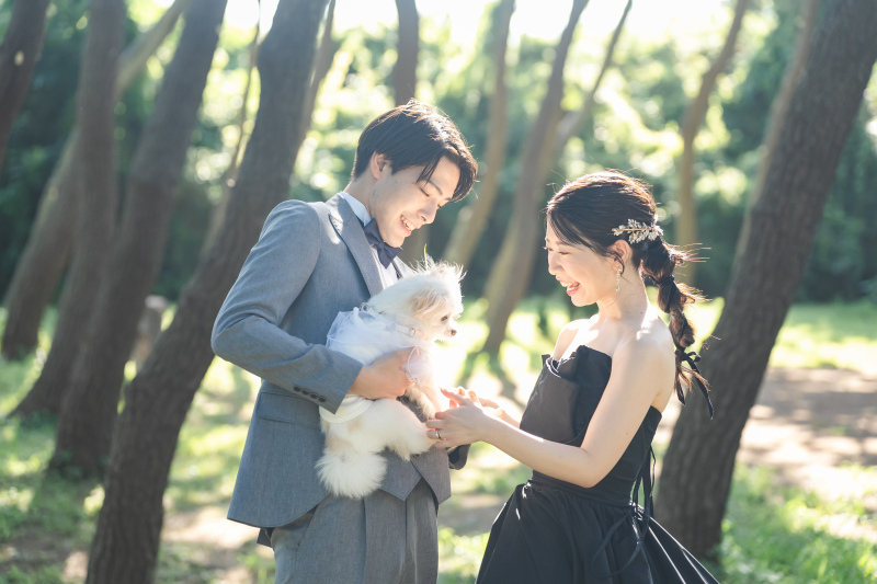 シラフジフォトスタジオ_投稿写真