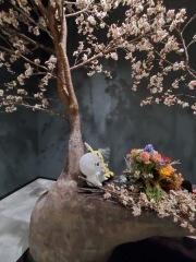 BLANZ（ブランズ）心斎橋_アドバイス写真