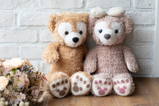 写真だけの結婚式　ecoo（エクー）_アドバイス写真