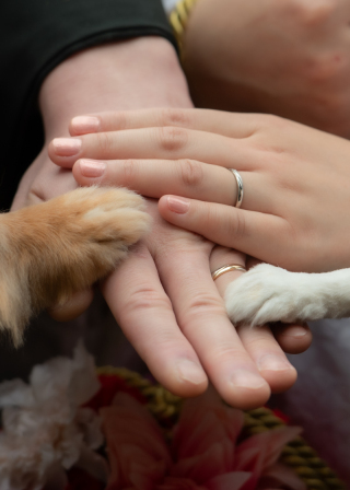 英国風洋館スタジオ【御苑フォトウェディング】_アドバイス写真