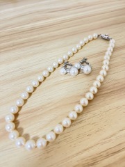 エスプリ・ド・ナチュール（Esprit de Nature）_アドバイス写真