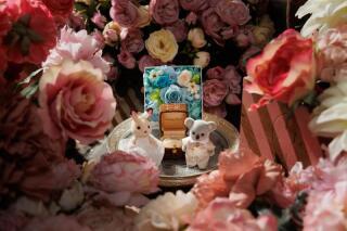 studio LUMINOUS お台場_アドバイス写真