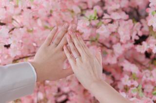 studio LUMINOUS お台場_アドバイス写真