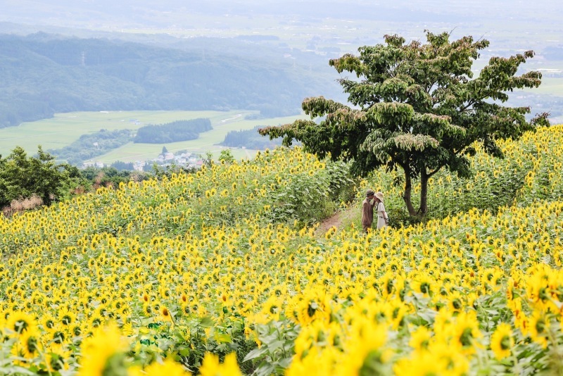ウエディングフォトスタジオReiMei＋_投稿写真