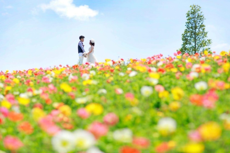 プランにない撮影内容でも柔軟に対応してくれる！_43610_投稿写真_2