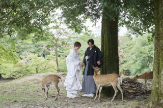 cheerful wedding_アドバイス写真