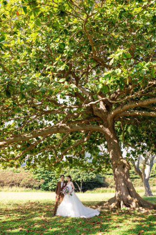ワタベウェディング 神戸三ノ宮店【フォトウエディング取扱終了】_アドバイス写真