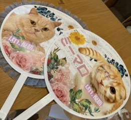 CANAEL WEDDING大阪_アドバイス写真