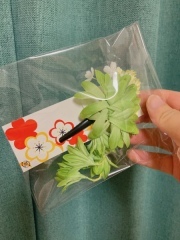 サンライズ・デジタル_アドバイス写真