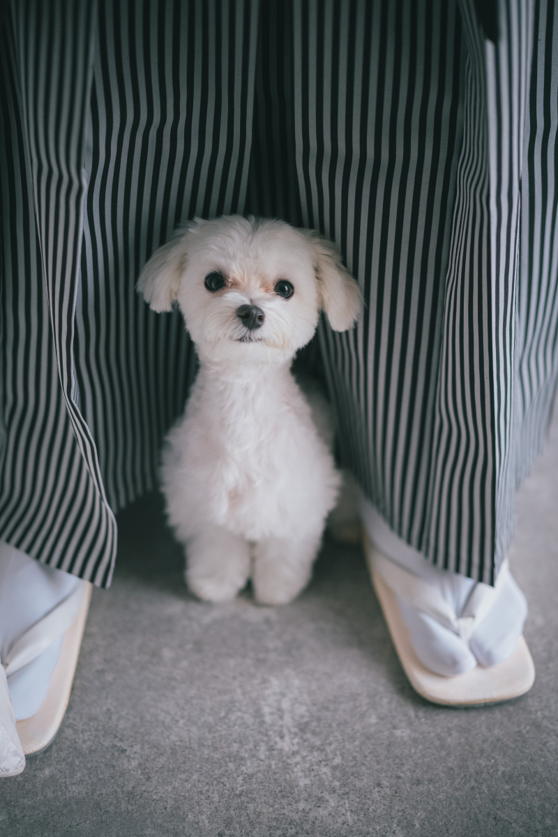 ラヴィファクトリー京都店_投稿写真