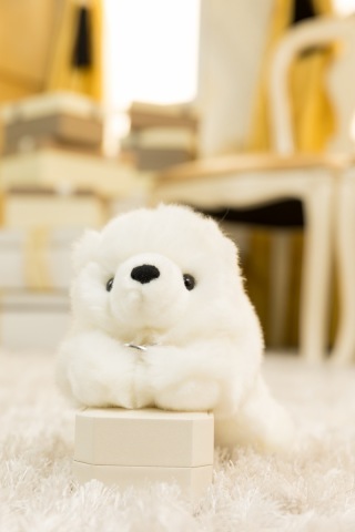 Photo Maison &eacute;crin 名古屋店_アドバイス写真