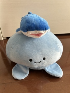 capryフォトウェディング沖縄（キャプリィフォトウェディング沖縄）_アドバイス写真