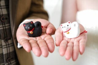 スタジオ・ケント徳島川内本店_アドバイス写真