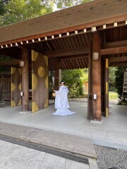 華雅苑　阿佐ヶ谷店_アドバイス写真