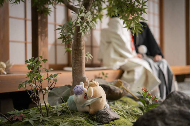 衣装は可愛いのが多いですがコストが見合っているかは…_44441_投稿写真_3