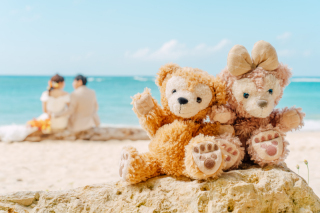 mavie peaceful photo_アドバイス写真