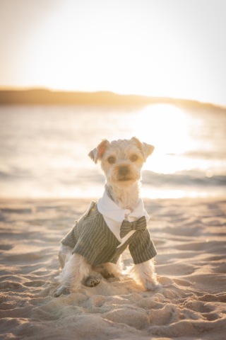 HIRARI_アドバイス写真