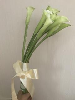 One Second A Day_アドバイス写真