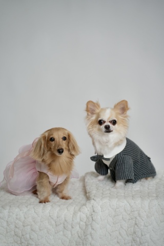 CANAEL WEDDING大阪_アドバイス写真