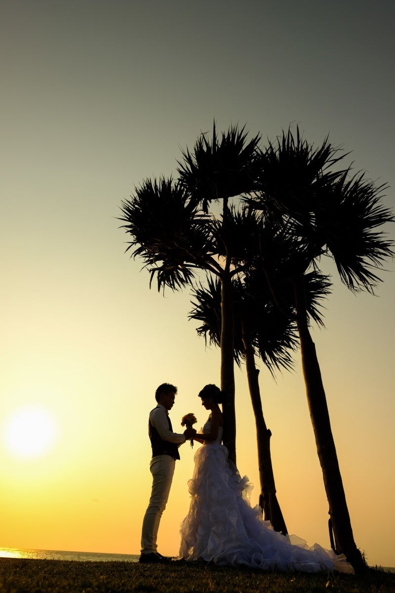 Photo Ciel Bleu_投稿写真