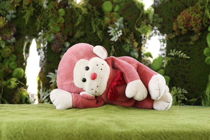 ベビー～大人用のセットまであるからくり箱のようなスタジオ_8070_投稿写真_3