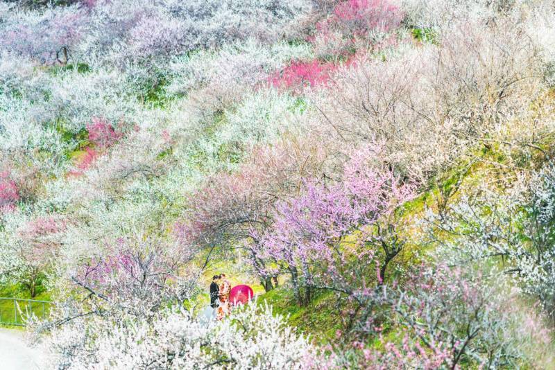 料金に見合うクオリティ_4052_投稿写真_1