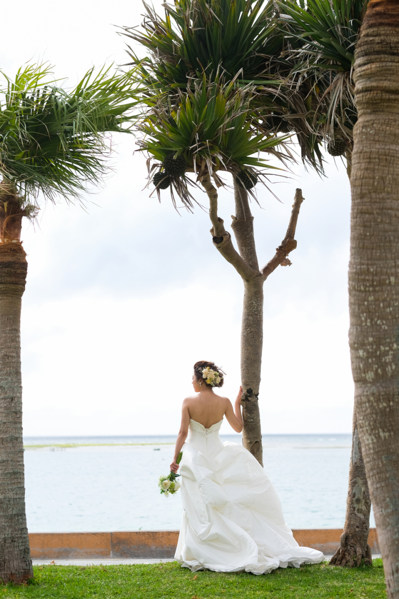 Photo Ciel Bleu_投稿写真