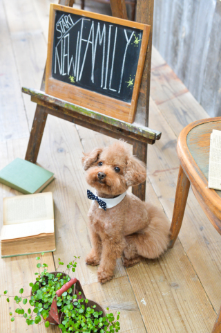 pindot studio_アドバイス写真