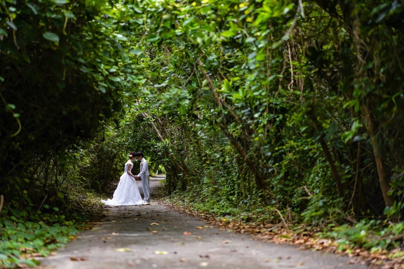 絵に描いたような景色で撮影できます_4295_投稿写真_1