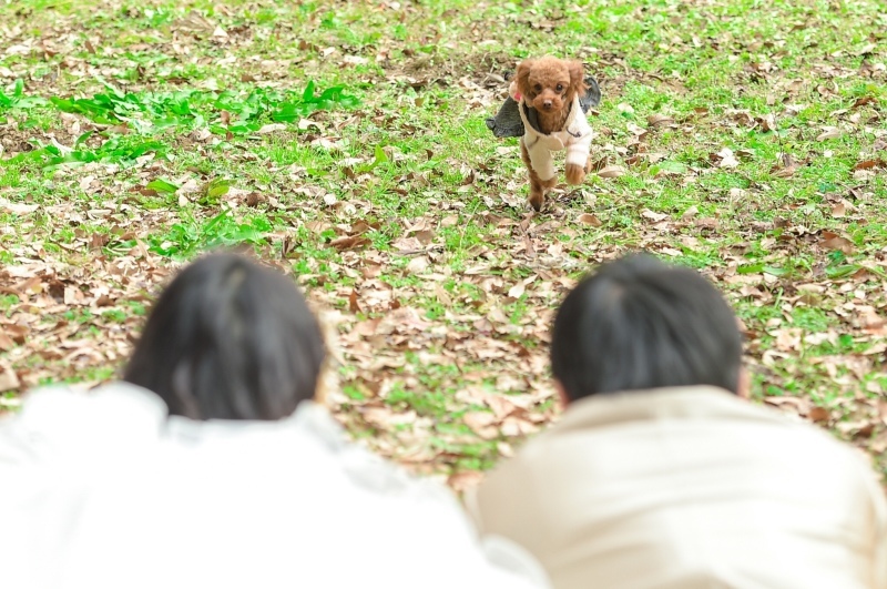 1日で、ウエディング撮影、カラードレス撮影、和装撮影！_4446_投稿写真_1