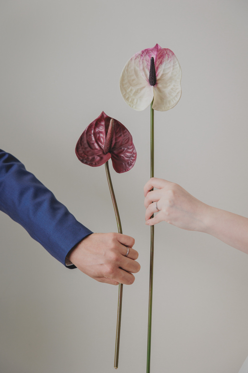 Creators'Genic_投稿写真